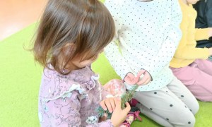 Sówki: Grudzień 2025 - Zdjęcie 53