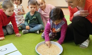 Sówki: Grudzień 2025 - Zdjęcie 73