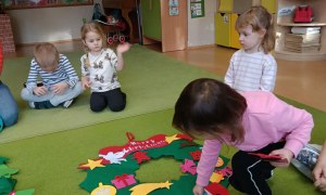 Sówki: Grudzień 2025 - Zdjęcie 75