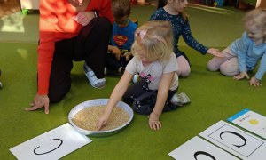 Sówki: Grudzień 2025 - Zdjęcie 87