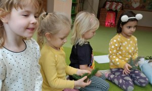 Sówki: Grudzień 2025 - Zdjęcie 25