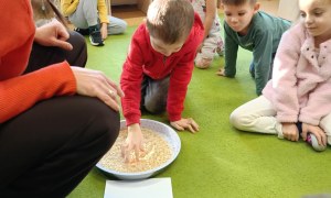 Sówki: Grudzień 2025 - Zdjęcie 28