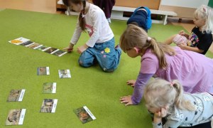 Sówki: Grudzień 2025 - Zdjęcie 32