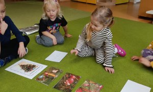 Sówki: Grudzień 2025 - Zdjęcie 35