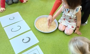 Sówki: Grudzień 2025 - Zdjęcie 40