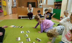 Sówki: Grudzień 2025 - Zdjęcie 43