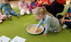 Sówki: Grudzień 2025 - Zdjęcie 48