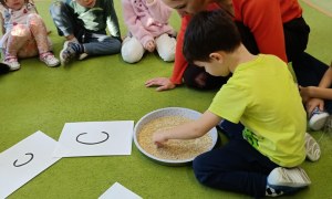 Sówki: Grudzień 2025 - Zdjęcie 49