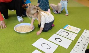 Sówki: Grudzień 2025 - Zdjęcie 57