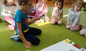 Sówki: Grudzień 2025 - Zdjęcie 55