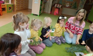 Sówki: Grudzień 2025 - Zdjęcie 68