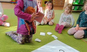 Sówki: Grudzień 2025 - Zdjęcie 71