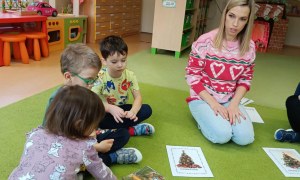 Sówki: Grudzień 2025 - Zdjęcie 77