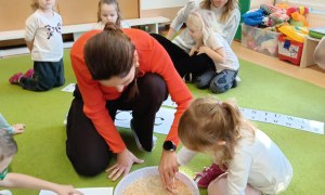 Sówki: Grudzień 2025 - Zdjęcie 80