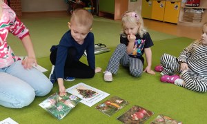 Sówki: Grudzień 2025 - Zdjęcie 85