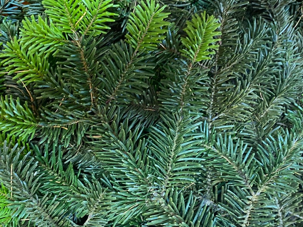 Spotknie Świąteczne w grupie Misie - Zdjęcie 25