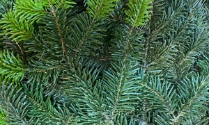 Spotknie Świąteczne w grupie Misie - Zdjęcie 25