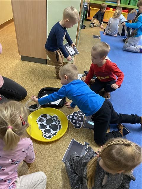 Misie: Grudzień 2025 - Zdjęcie 21