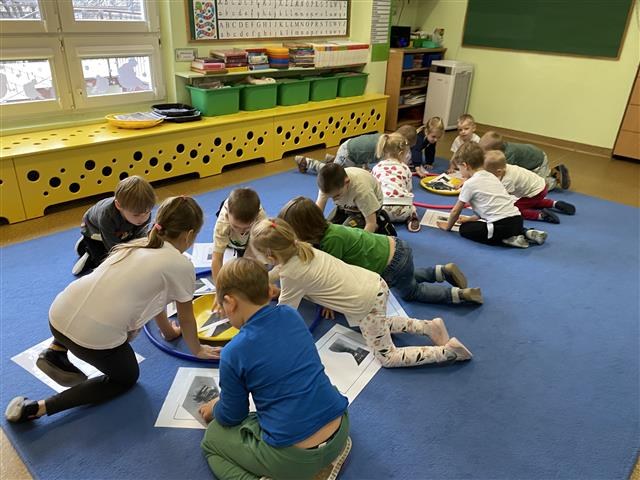 Misie: Grudzień 2025 - Zdjęcie 38