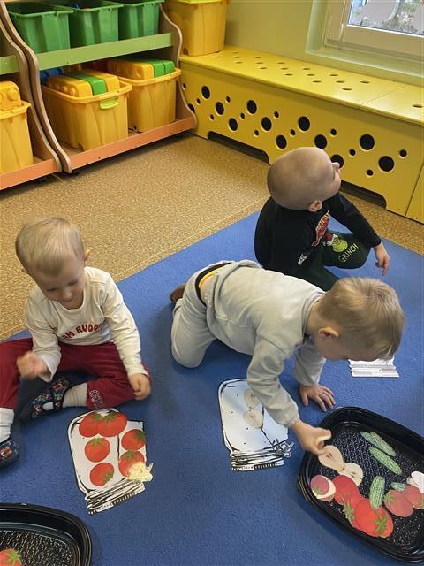 Misie: Grudzień 2025 - Zdjęcie 61