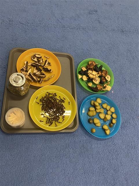 Misie: Grudzień 2025 - Zdjęcie 101