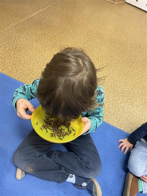 Misie: Grudzień 2025 - Zdjęcie 102