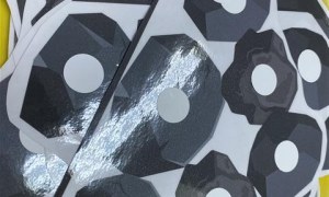 Misie: Grudzień 2025 - Zdjęcie 9