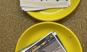 Misie: Grudzień 2025 - Zdjęcie 28