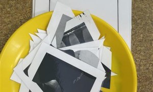 Misie: Grudzień 2025 - Zdjęcie 29