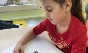 Misie: Grudzień 2025 - Zdjęcie 45