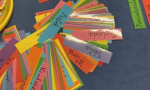 Misie: Grudzień 2025 - Zdjęcie 64