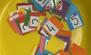 Misie: Grudzień 2025 - Zdjęcie 65