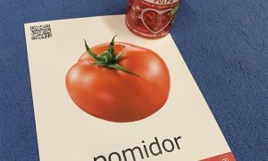 Misie: Grudzień 2025 - Zdjęcie 87