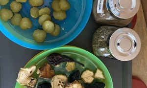 Misie: Grudzień 2025 - Zdjęcie 99