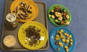 Misie: Grudzień 2025 - Zdjęcie 101