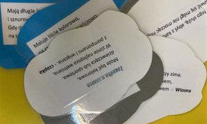 Misie: Grudzień 2025 - Zdjęcie 105