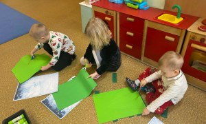 Misie: Grudzień 2025 - Zdjęcie 1