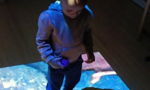 Jeżyki: Grudzień 2025 - Zdjęcie 19