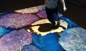 Jeżyki: Grudzień 2025 - Zdjęcie 20