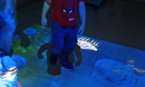 Jeżyki: Grudzień 2025 - Zdjęcie 38