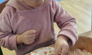 Żabki: Grudzień 2025 - Zdjęcie 155