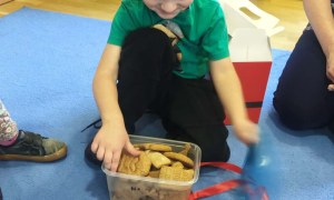 Żabki: Grudzień 2025 - Zdjęcie 224