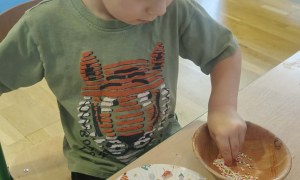 Żabki: Grudzień 2025 - Zdjęcie 150