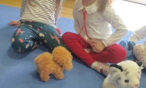 Żabki: Grudzień 2025 - Zdjęcie 166