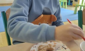 Żabki: Grudzień 2025 - Zdjęcie 219