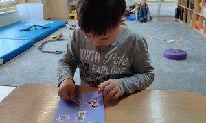 Tygryski: Grudzień 2025 - Zdjęcie 4