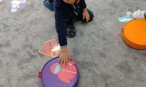 Tygryski: Grudzień 2025 - Zdjęcie 5