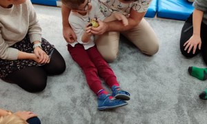 Tygryski: Grudzień 2025 - Zdjęcie 9