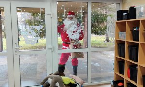 Tygryski: Grudzień 2025 - Zdjęcie 10