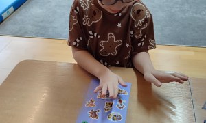 Tygryski: Grudzień 2025 - Zdjęcie 11